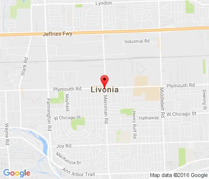 logo-image - Livonia-MI
